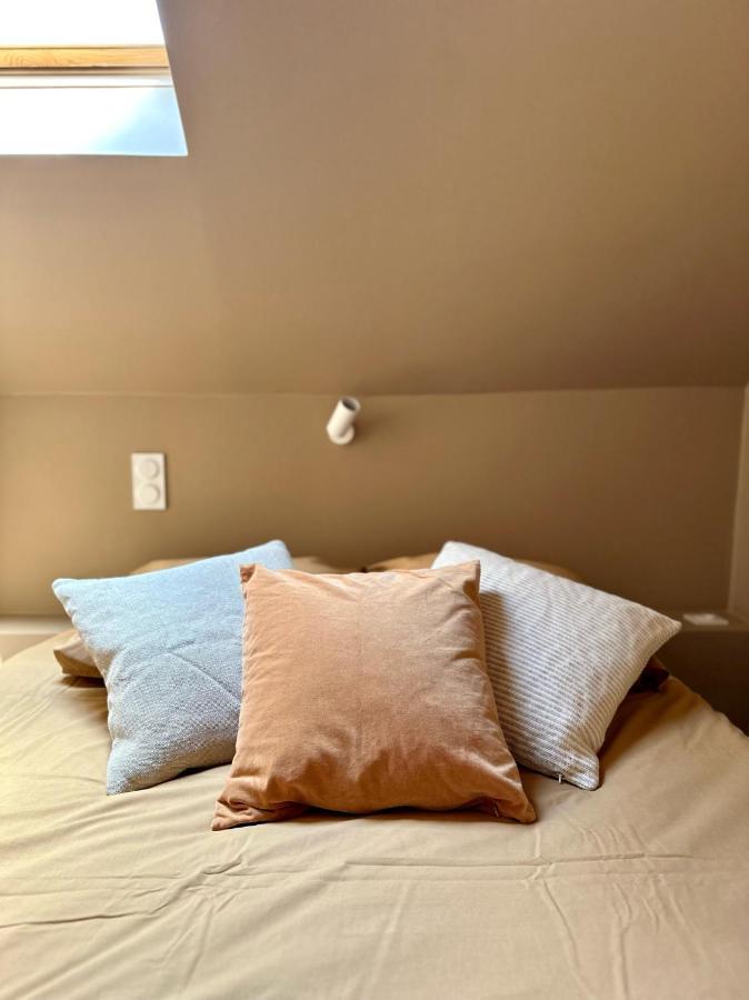 Ecrin De Calme Avec Terrasse Apartment Chambery Ngoại thất bức ảnh